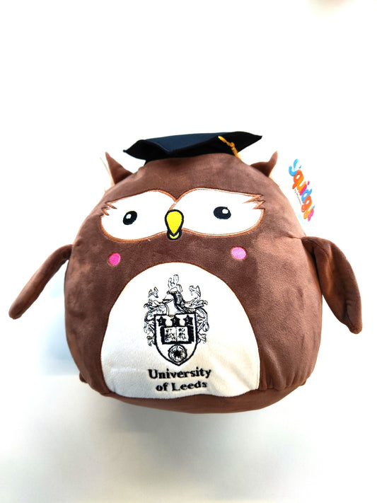 Squidgy Graduation Owl