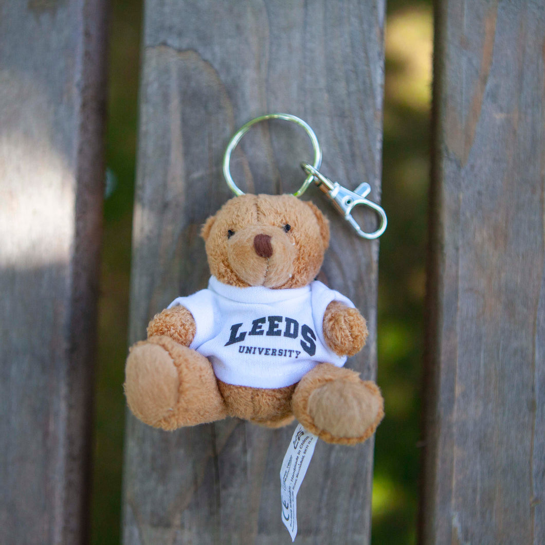 Teddy Keyring 2