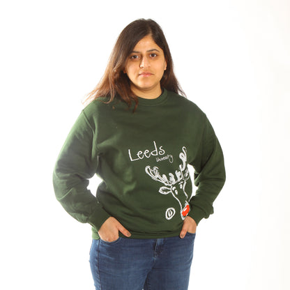 Christmas Reindeer Sweatshirt DNO